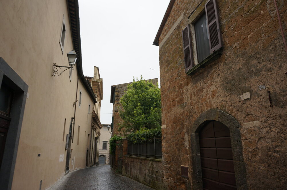 DSC07706.JPG