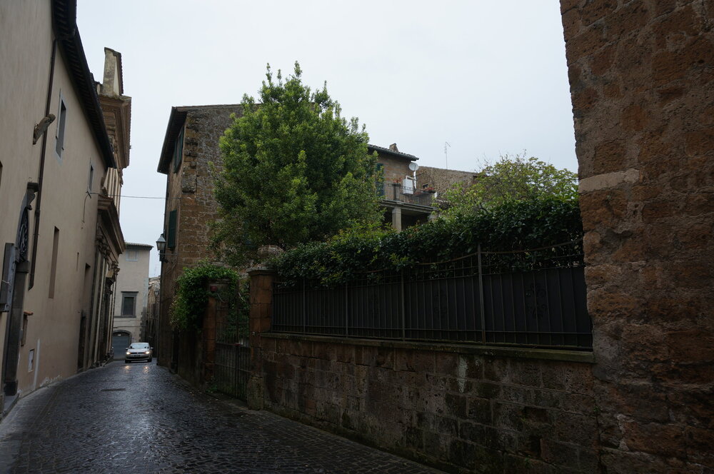 DSC07707.JPG
