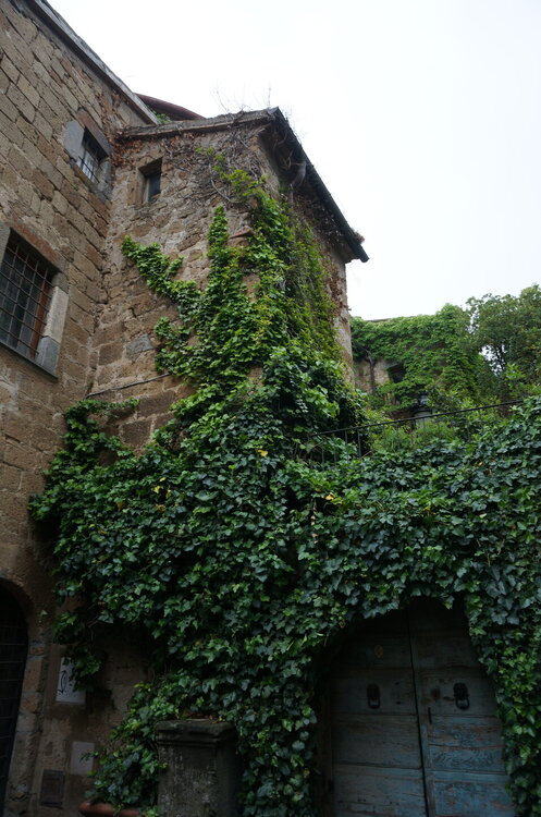 DSC07717.JPG