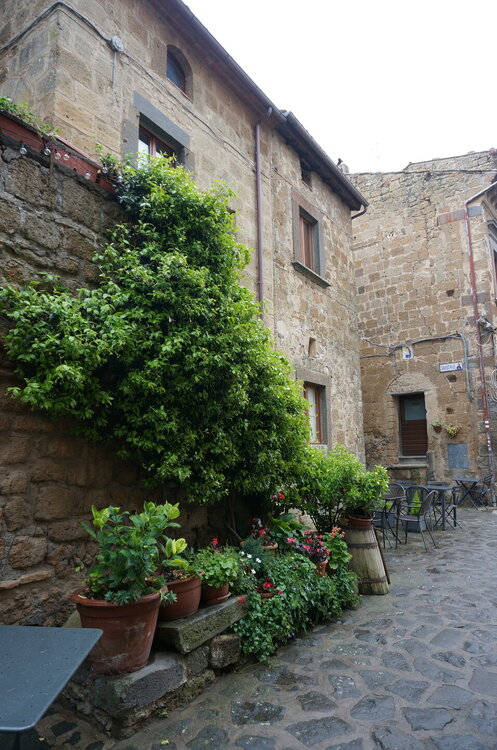 DSC07719.JPG