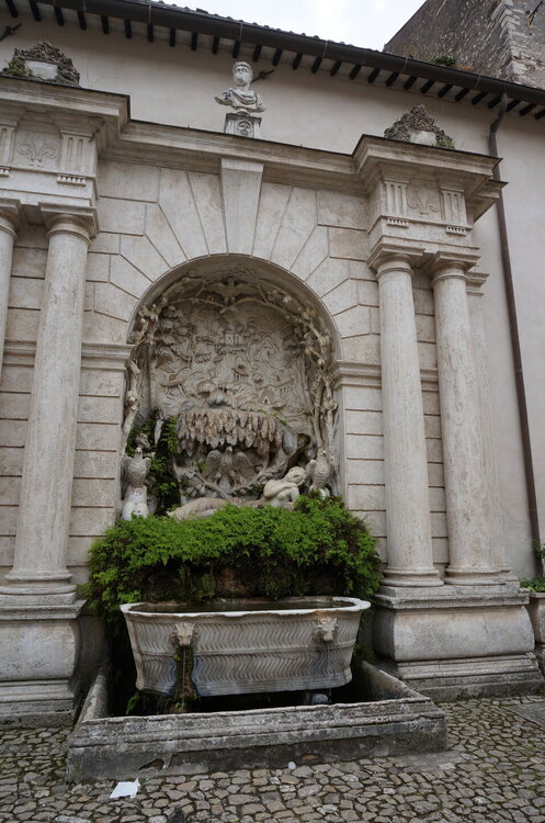 DSC07805.JPG