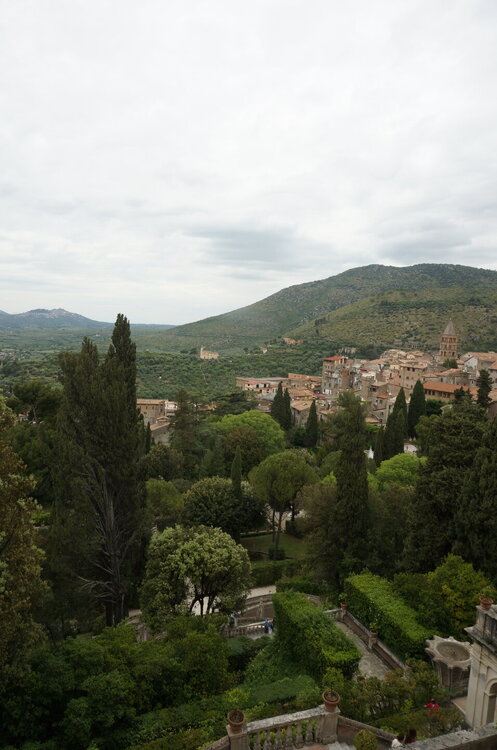 DSC07813.JPG