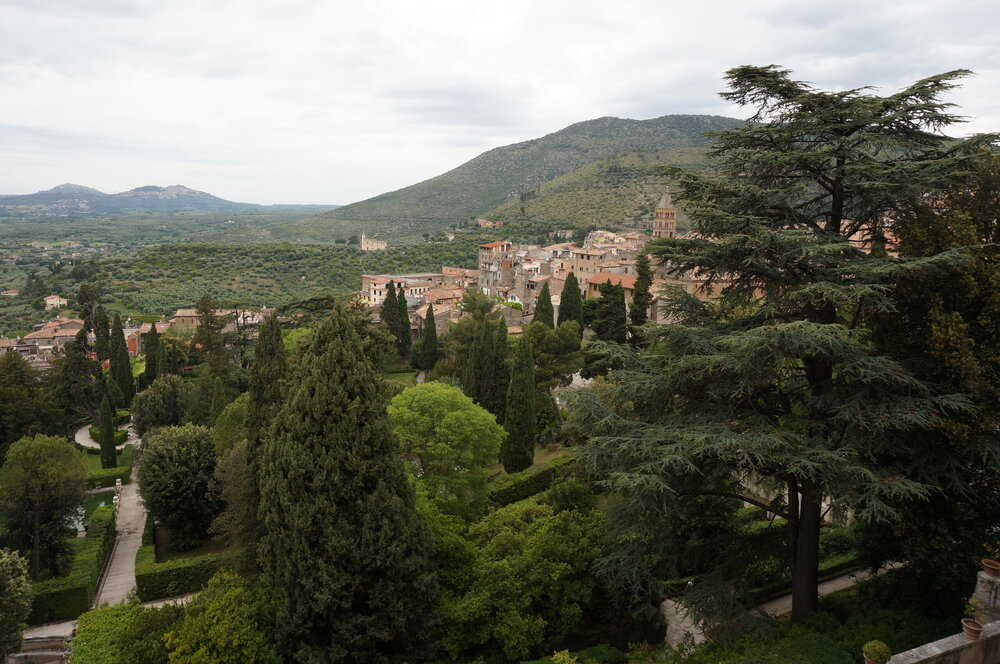 DSC07829.JPG