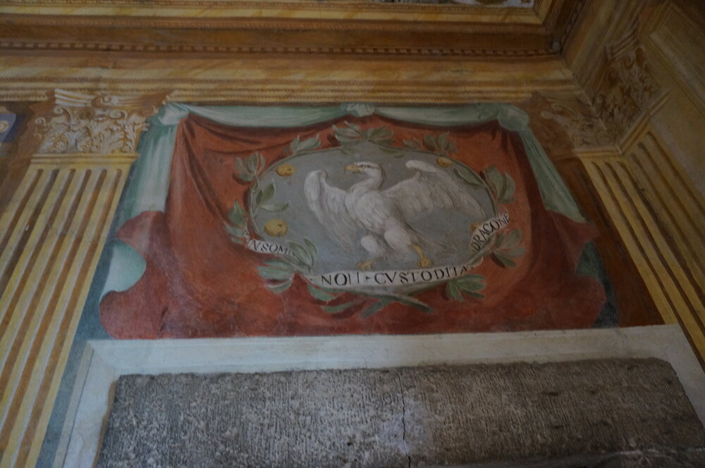 DSC07847.JPG