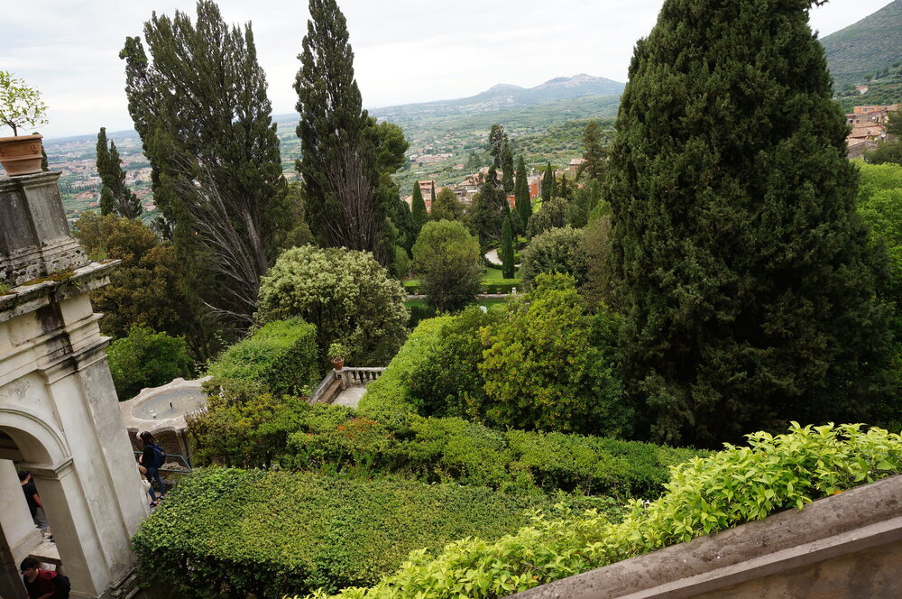 DSC07859.JPG