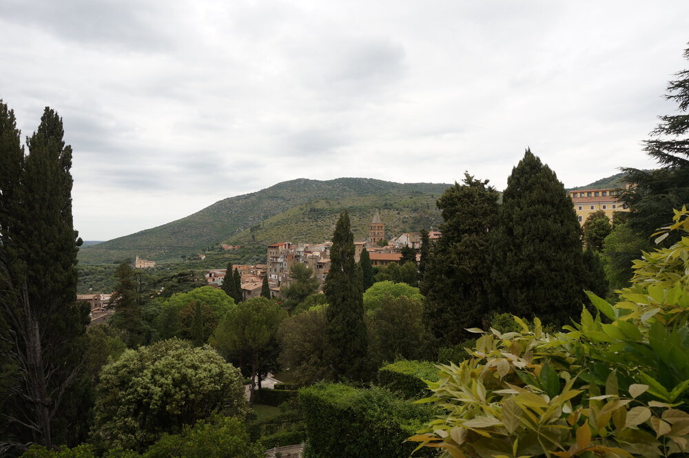 DSC07867.JPG