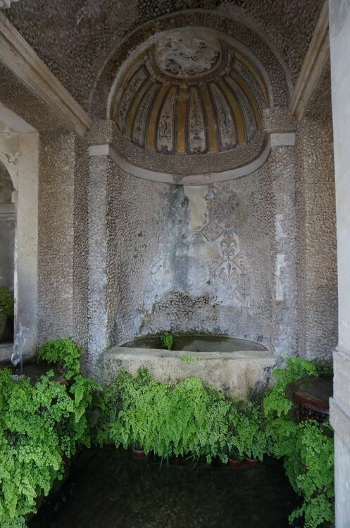 DSC07871.JPG
