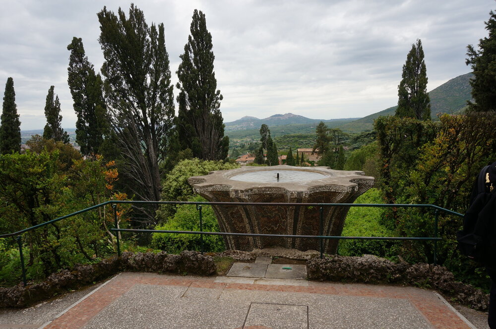 DSC07873.JPG