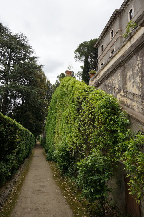 DSC07874.JPG