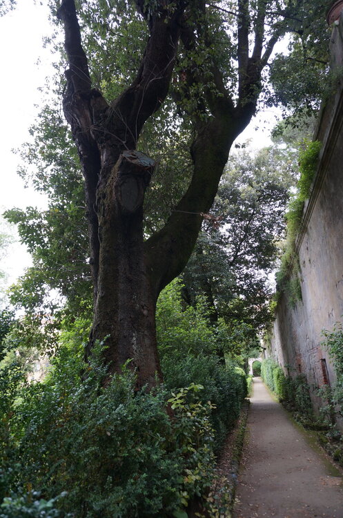 DSC07875.JPG