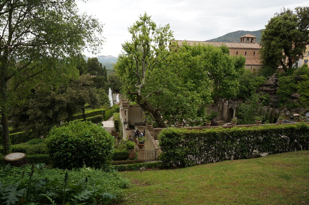 DSC07876.JPG