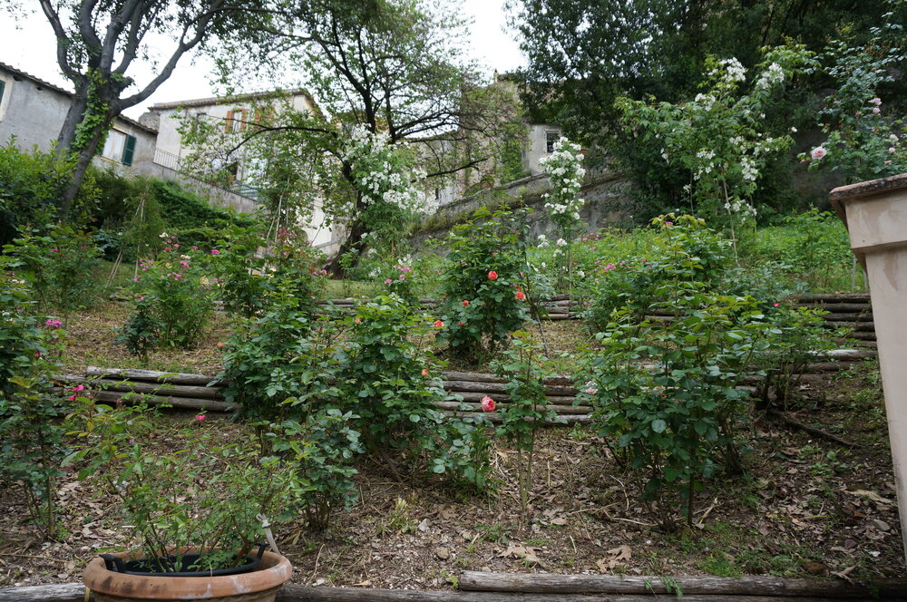 DSC07878.JPG