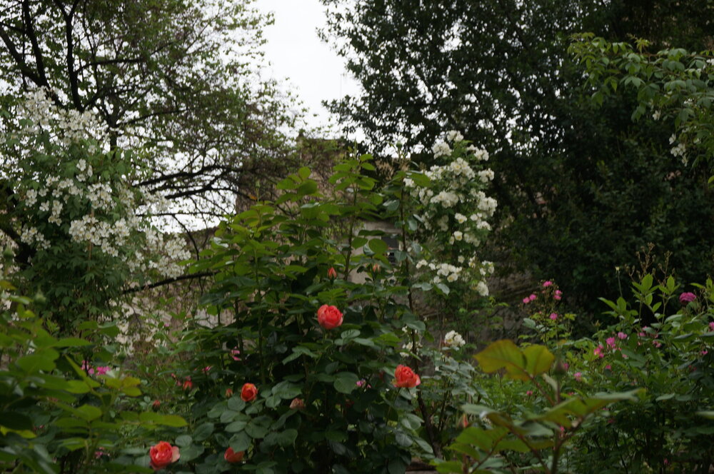 DSC07882.JPG