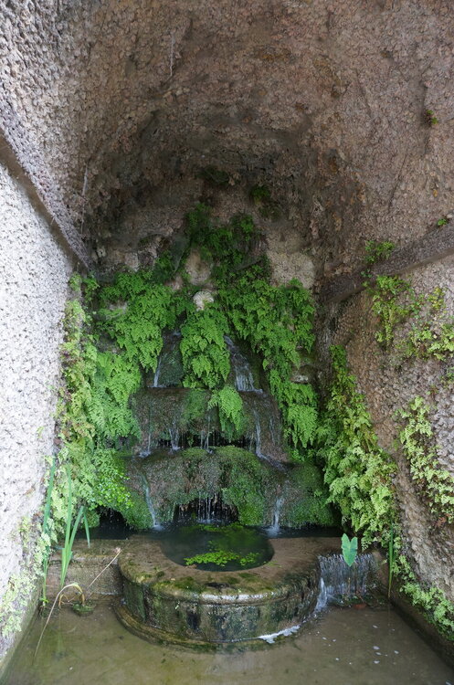 DSC07887.JPG