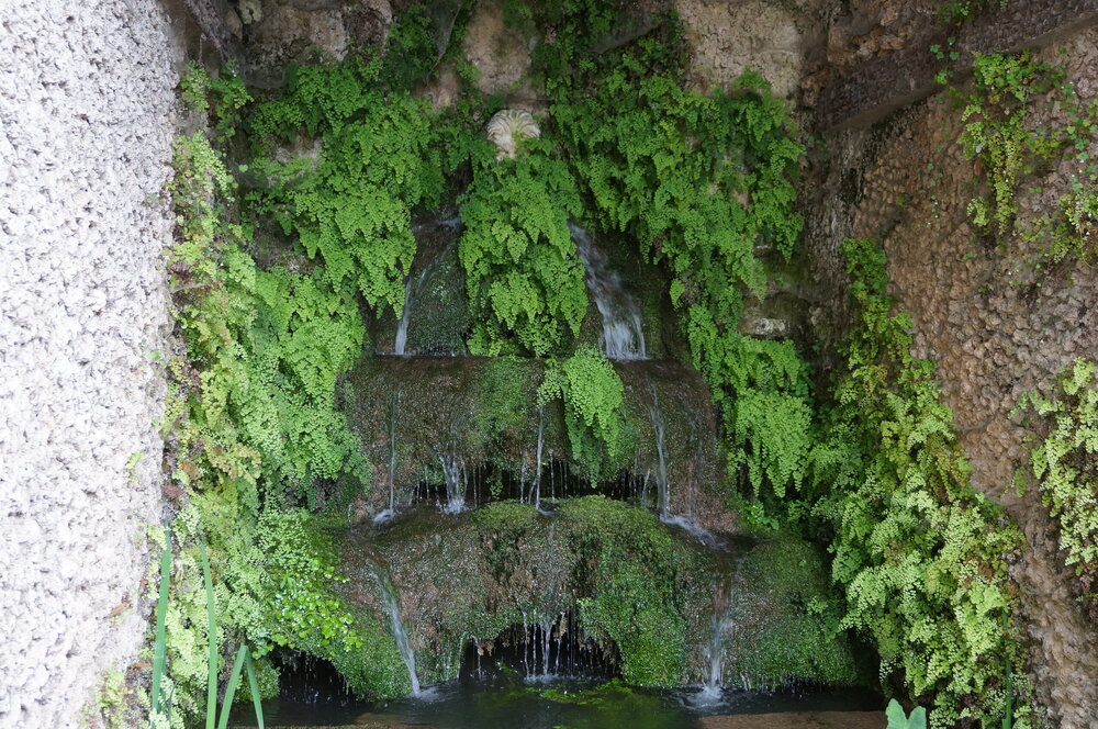 DSC07888.JPG