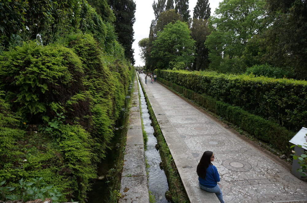 DSC07889.JPG