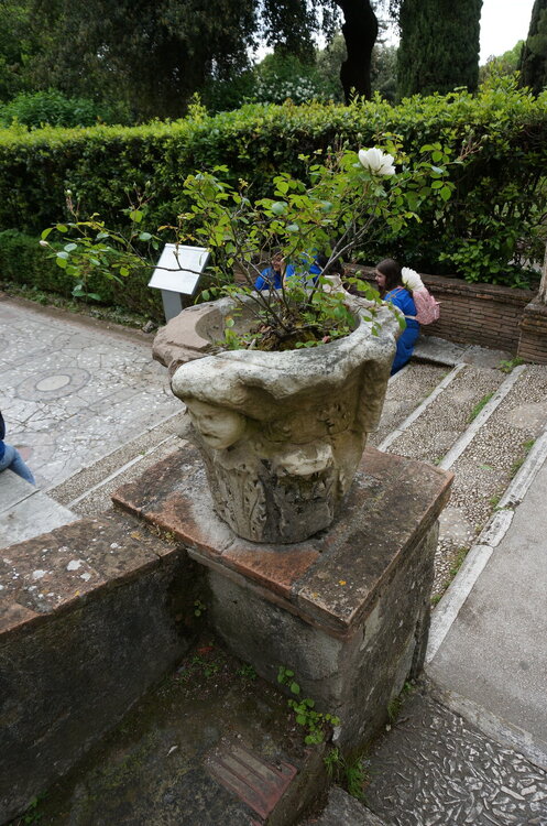 DSC07890.JPG