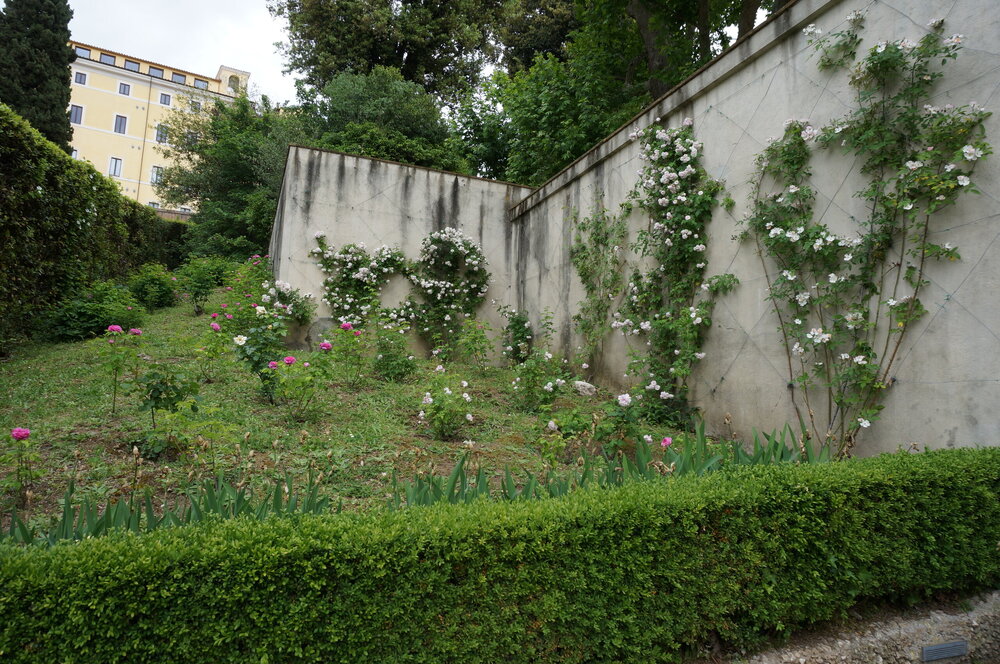 DSC07897.JPG