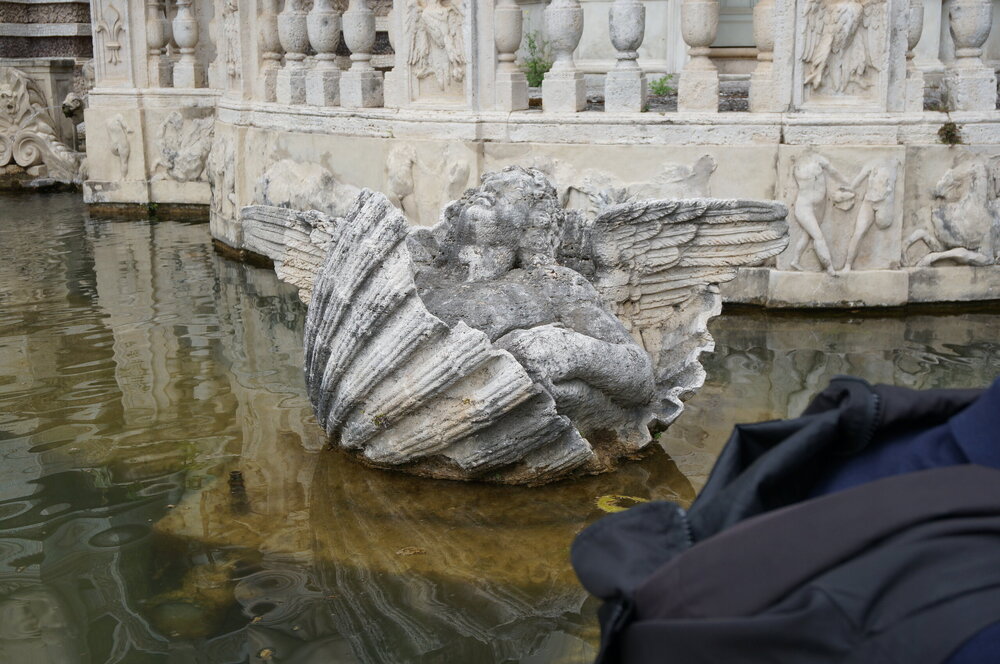 DSC07908.JPG