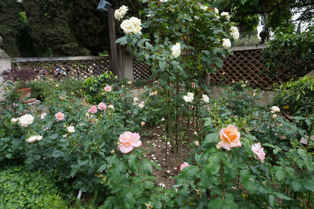 DSC07913.JPG