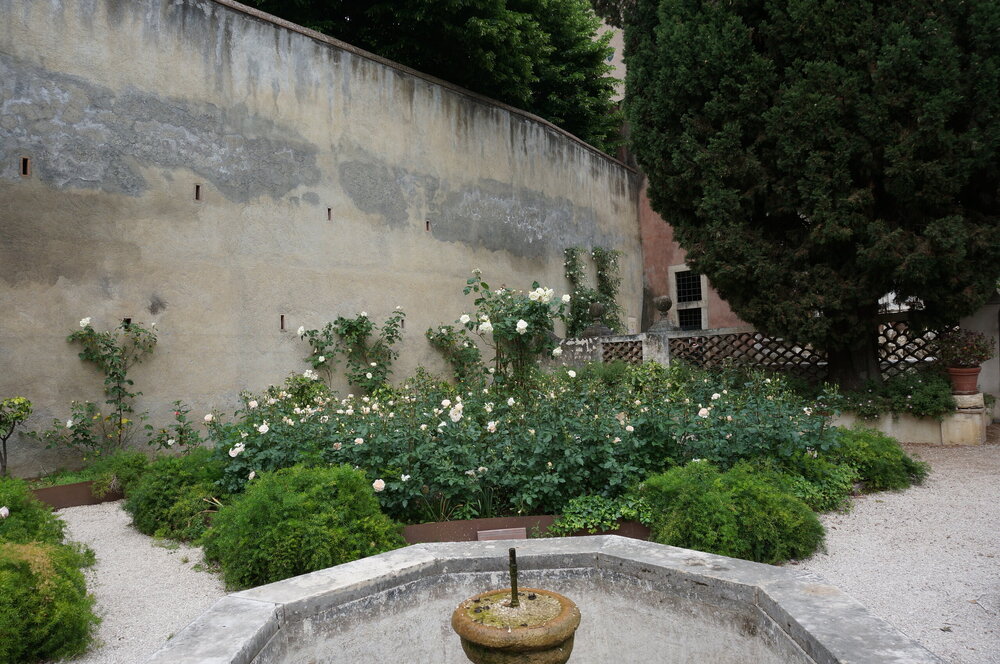 DSC07917.JPG