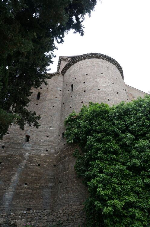 DSC07919.JPG