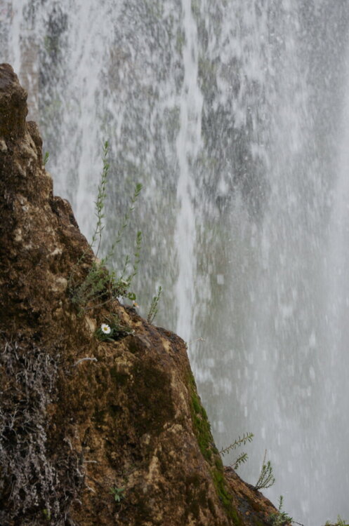 DSC07926.JPG