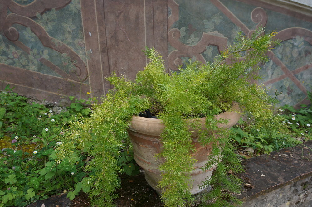 DSC07928.JPG