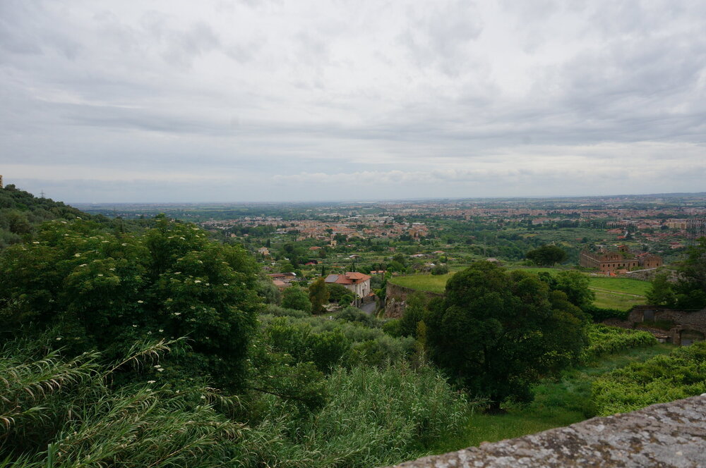 DSC07952.JPG
