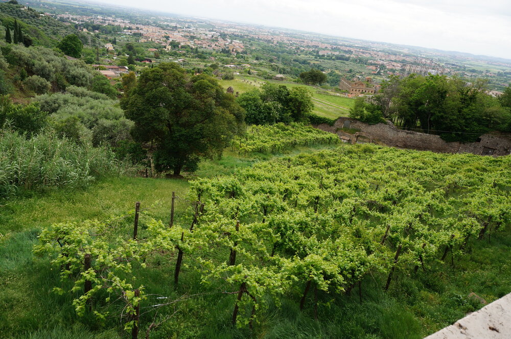 DSC07954.JPG