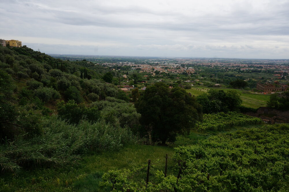 DSC07955.JPG
