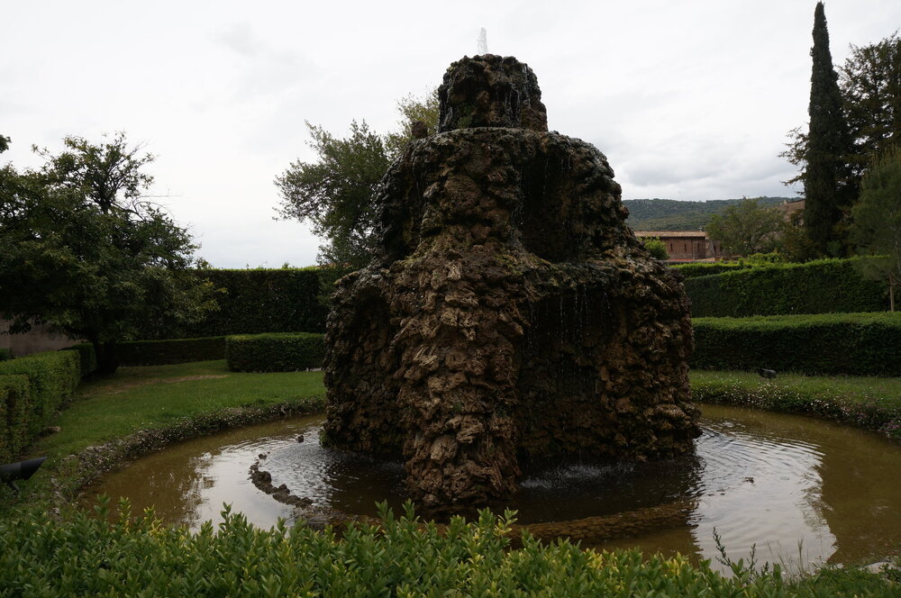 DSC07971.JPG