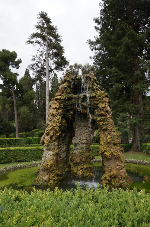 DSC07972.JPG