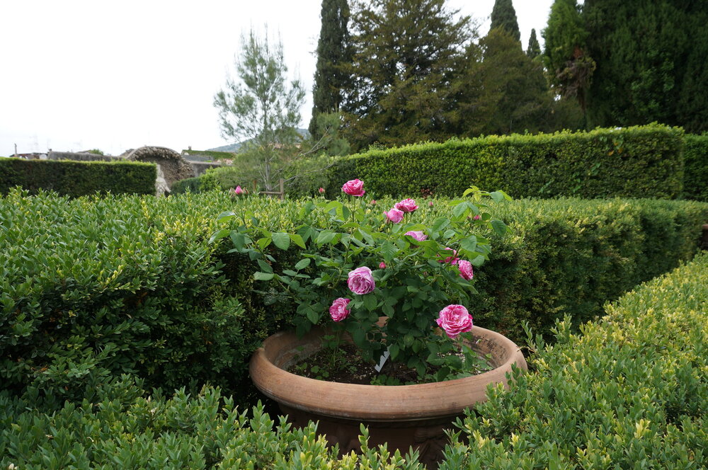 DSC07973.JPG