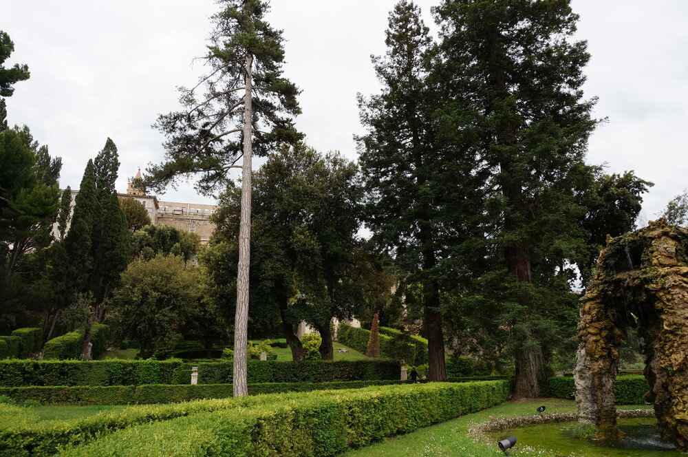 DSC07974.JPG