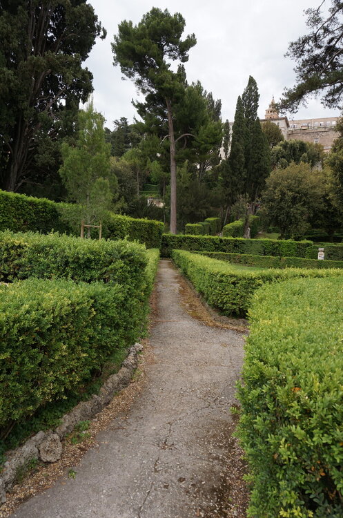 DSC07975.JPG