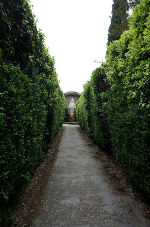 DSC07976.JPG