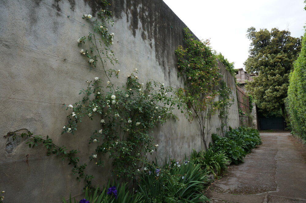 DSC07980.JPG