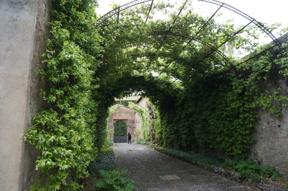 DSC07982.JPG