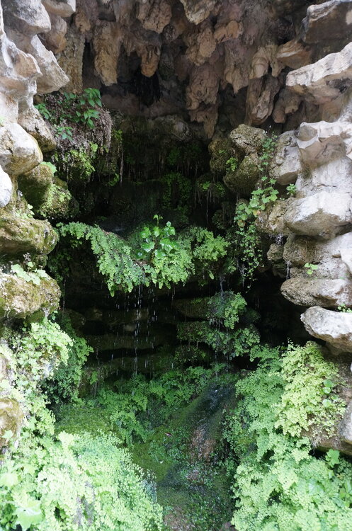 DSC07985.JPG