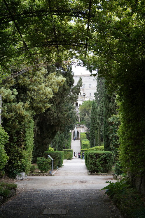 DSC07988.JPG