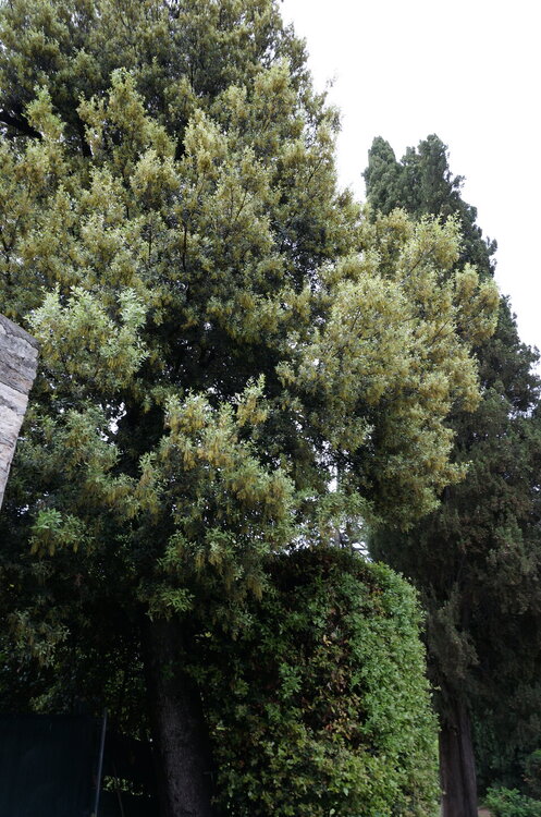 DSC07990.JPG