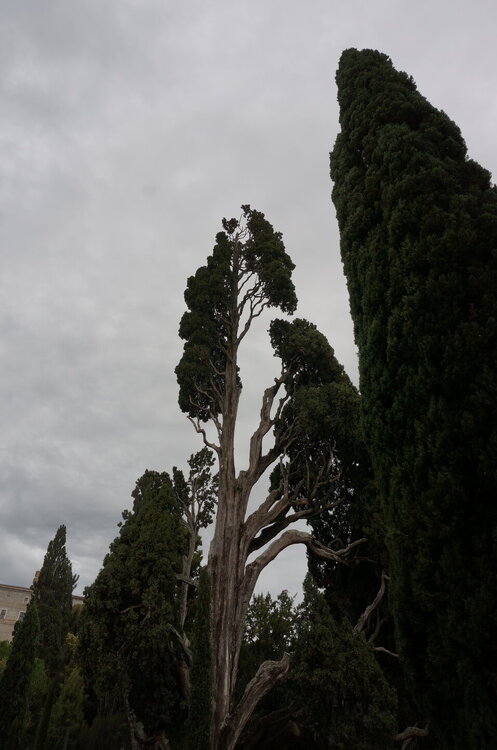 DSC07991.JPG