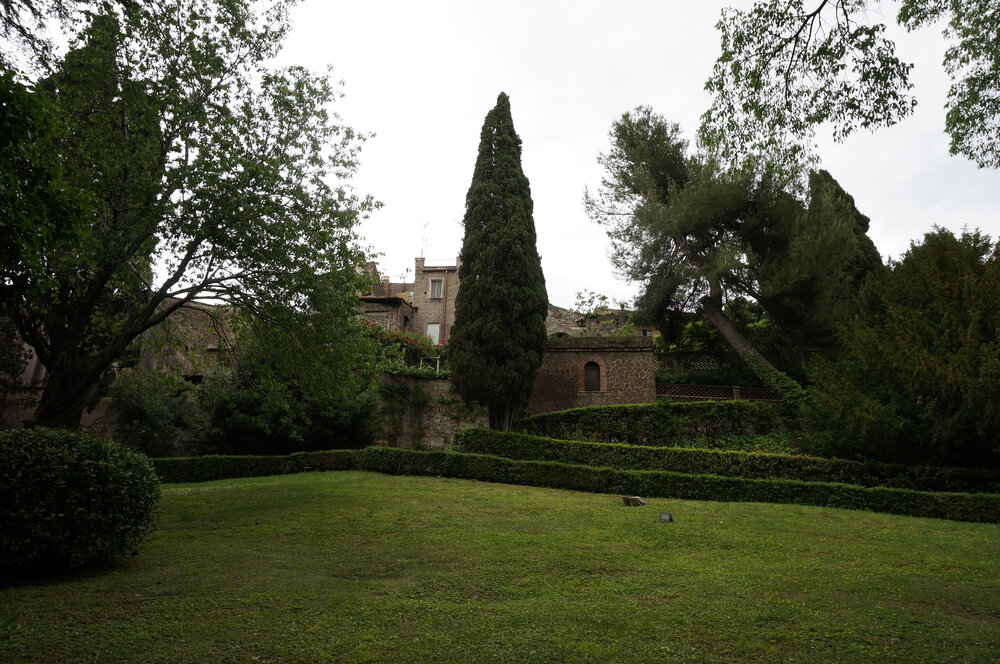 DSC07996.JPG