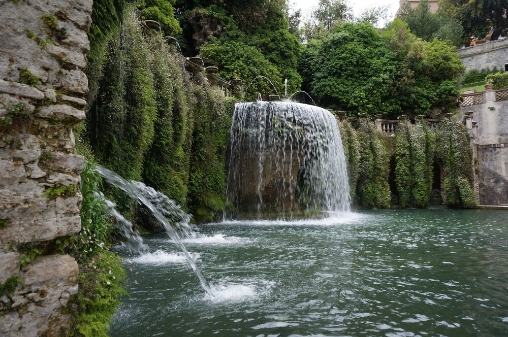 DSC08000.JPG