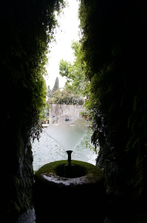 DSC08006.JPG