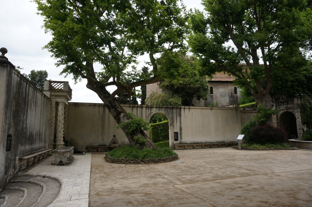 DSC08009.JPG