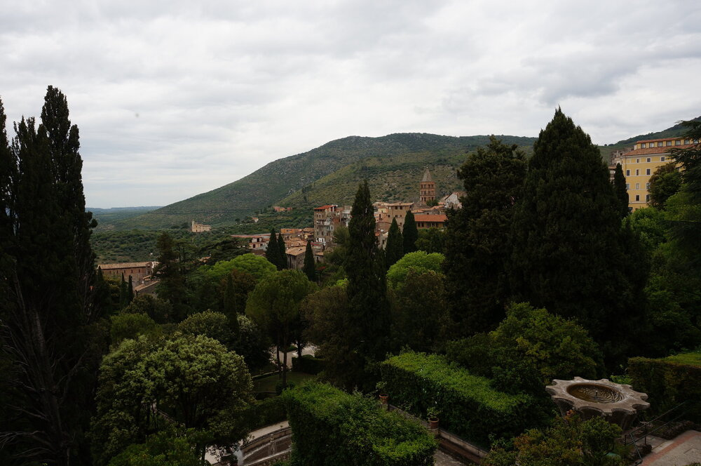 DSC08011.JPG