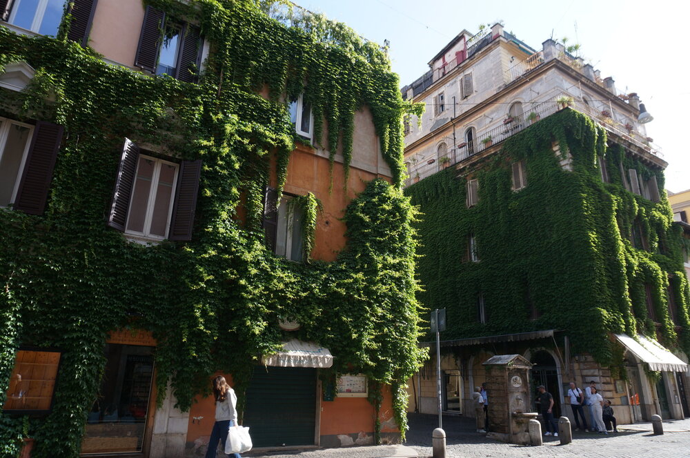 DSC08013.JPG