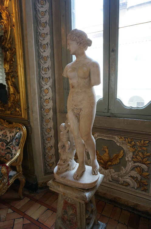 DSC08065.JPG